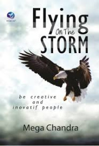 Image of Flying On The Storm